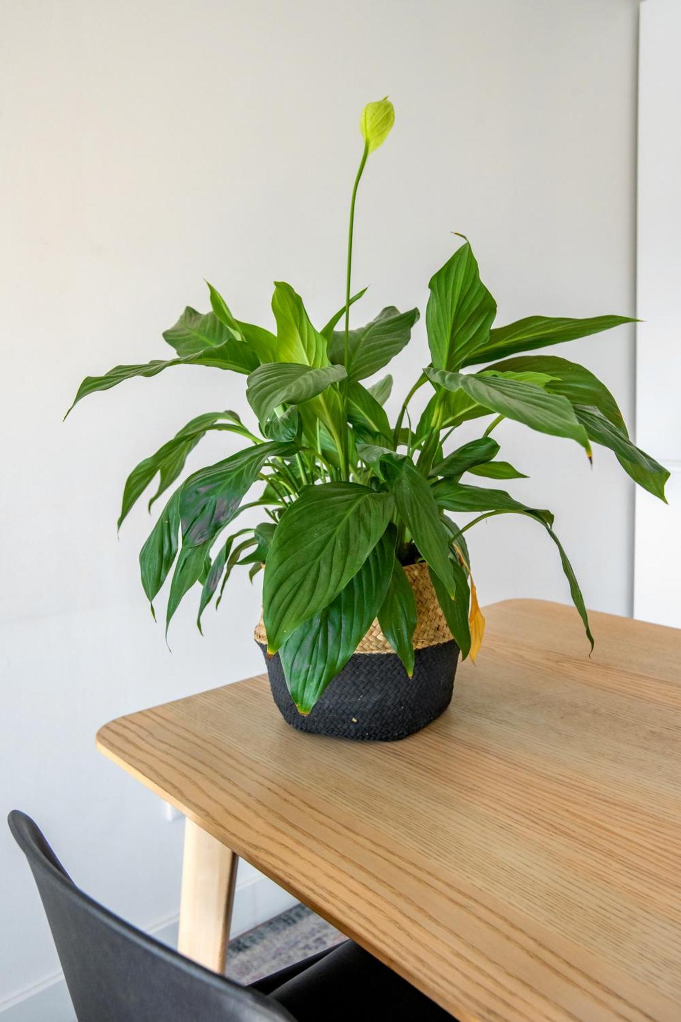 Bright Apartment In Lisboa المظهر الخارجي الصورة